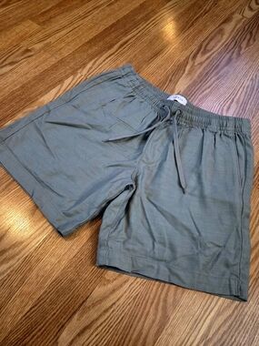 Pacsun Men's Shorts